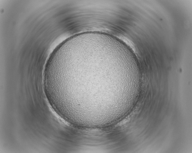 X0000088021135200706011318