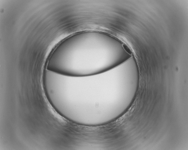 X0000088021136200706011318