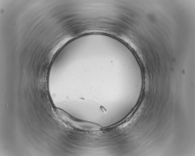 X0000088021137200706011318