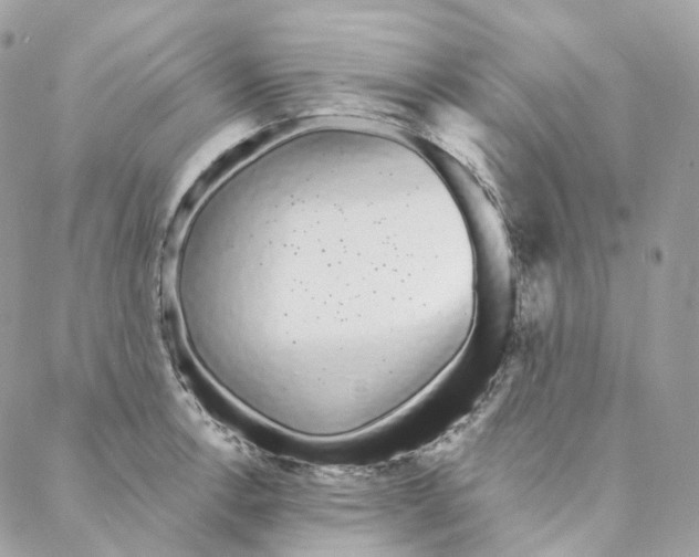 X0000088021138200706011318