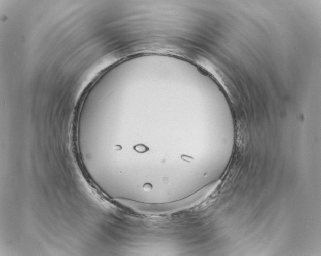 X0000088021139200706011318