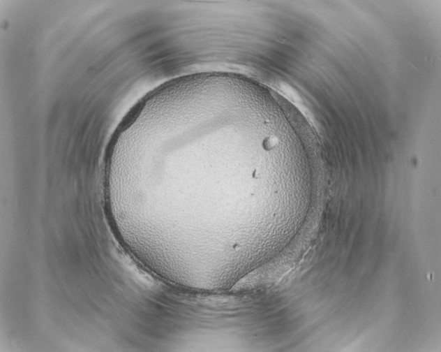 X0000088021140200706011318