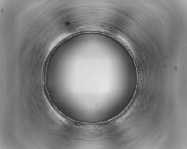 X0000088021141200706011318