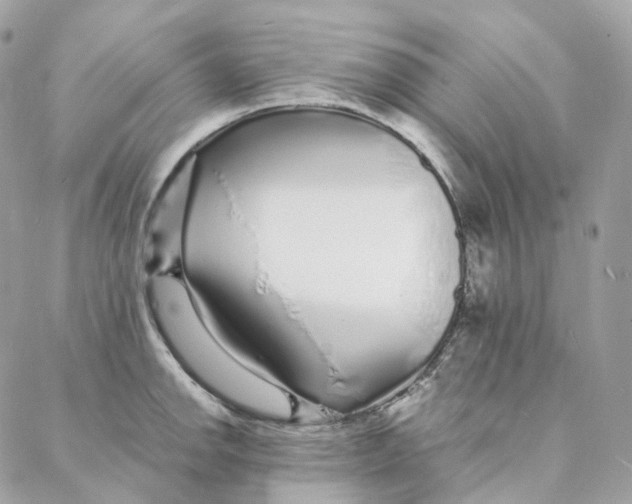 X0000088021142200706011318