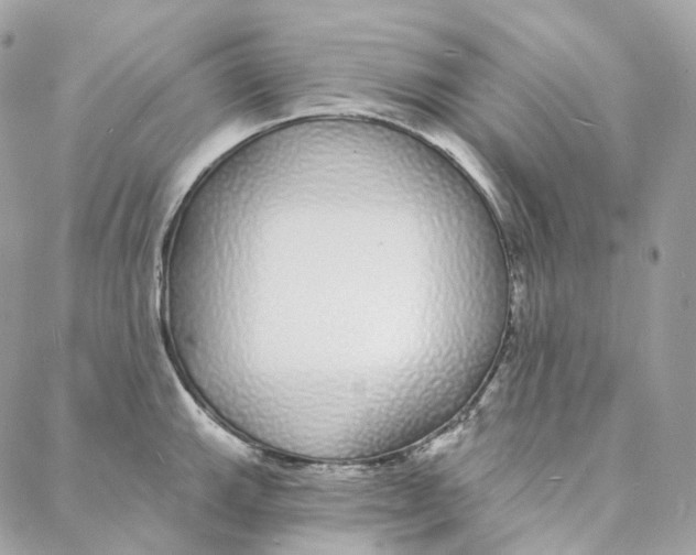 X0000088021143200706011318