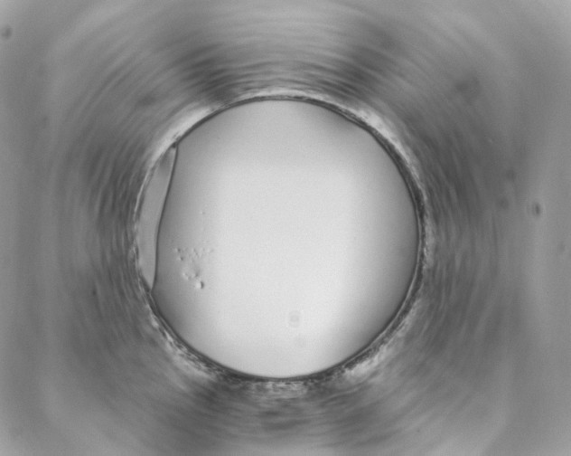 X0000088021145200706011318