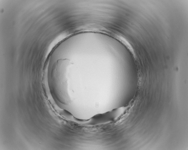 X0000088021146200706011318