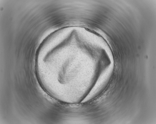 X0000088021147200706011318