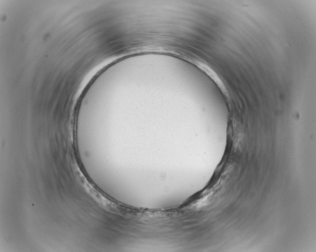 X0000088021148200706011318