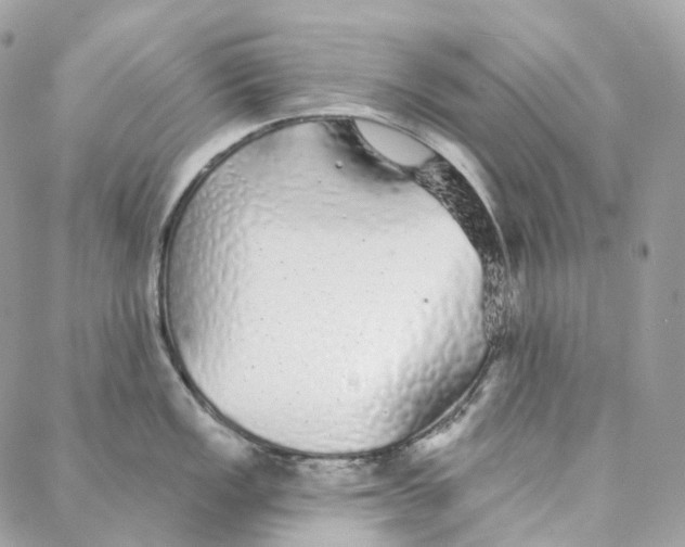 X0000088021149200706011318