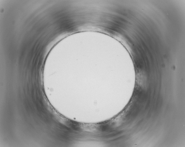 X0000088021150200706011318