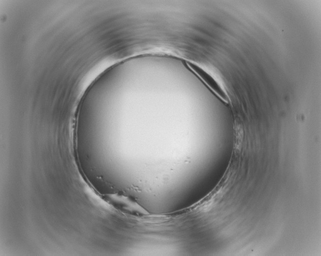 X0000088021151200706011318