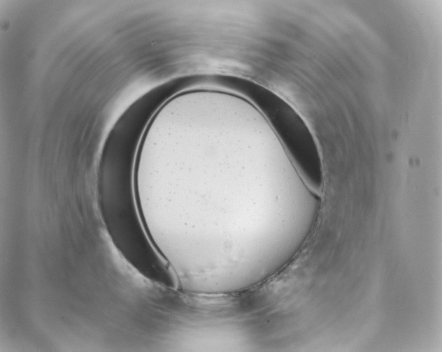 X0000088021152200706011318