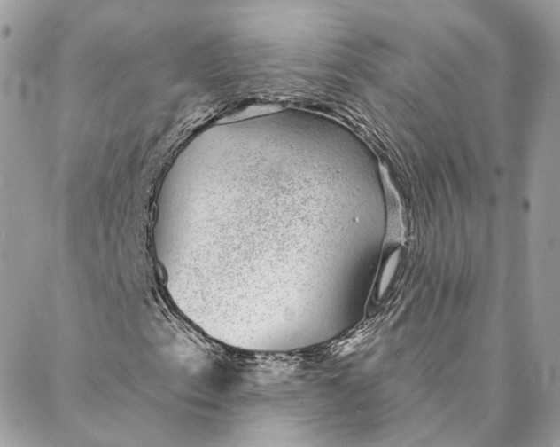 X0000088021153200706011317