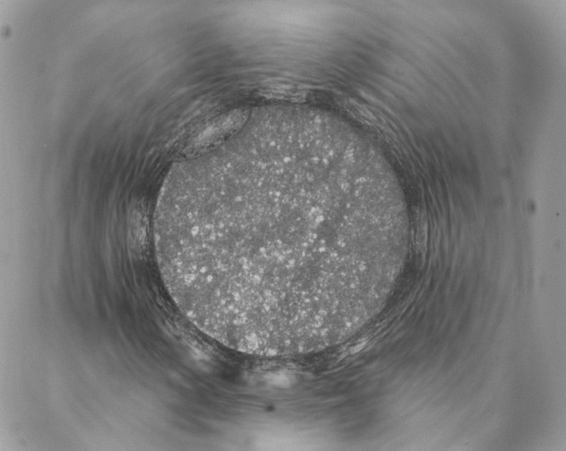 X0000088021154200706011317