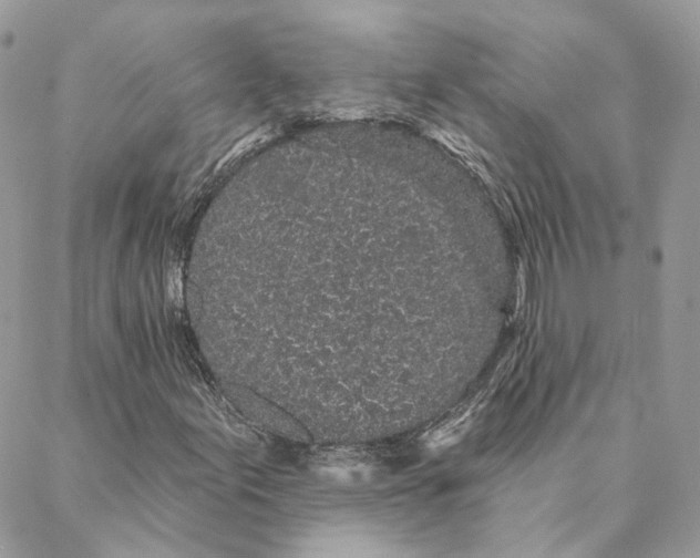 X0000088021155200706011317