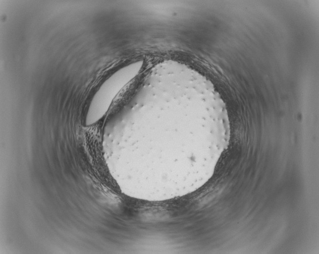 X0000088021156200706011317