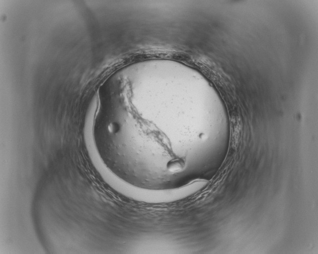 X0000088021157200706011317