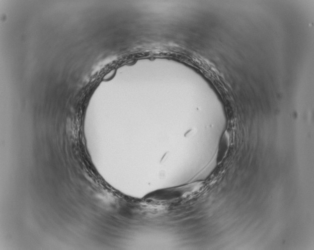 X0000088021158200706011317