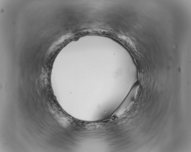 X0000088021159200706011317