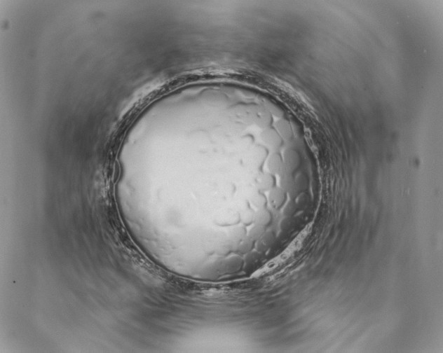 X0000088021160200706011317