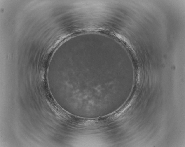 X0000088021161200706011317