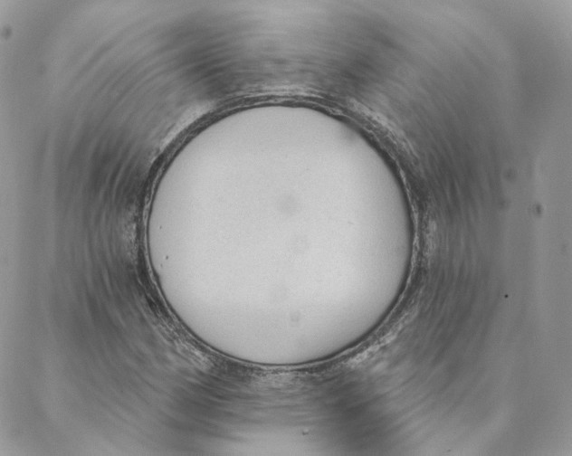 X0000088021162200706011317