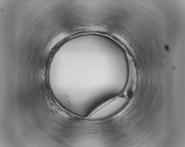 X0000088021163200706011317