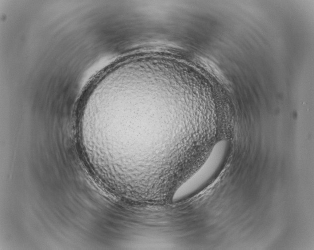 X0000088021164200706011317