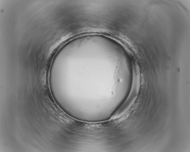 X0000088021165200706011317