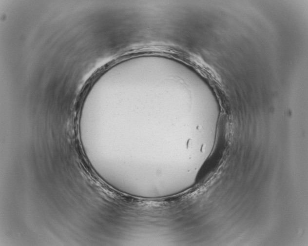 X0000088021166200706011317