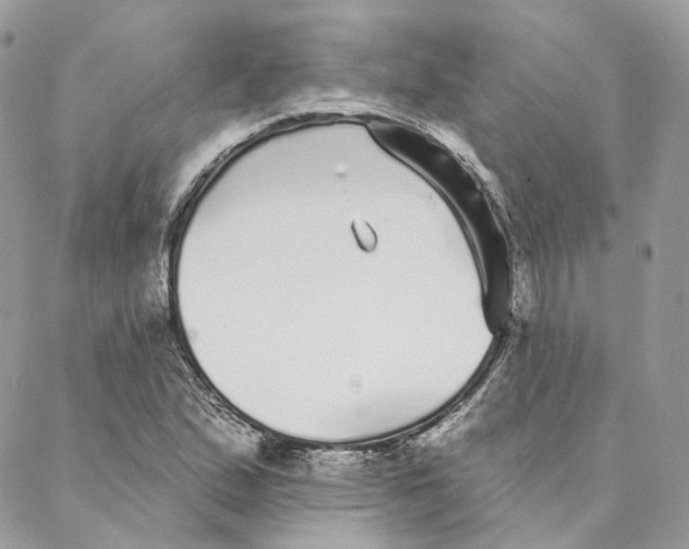 X0000088021167200706011317