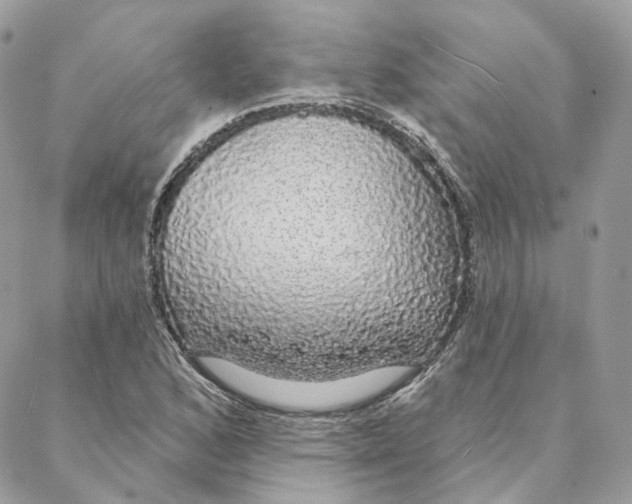 X0000088021168200706011317