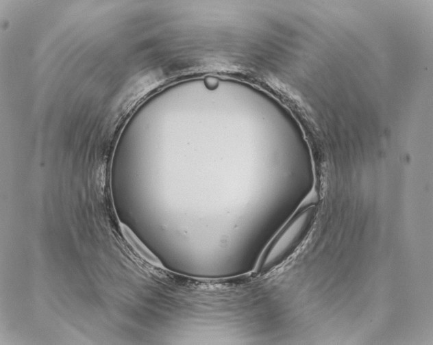 X0000088021169200706011317