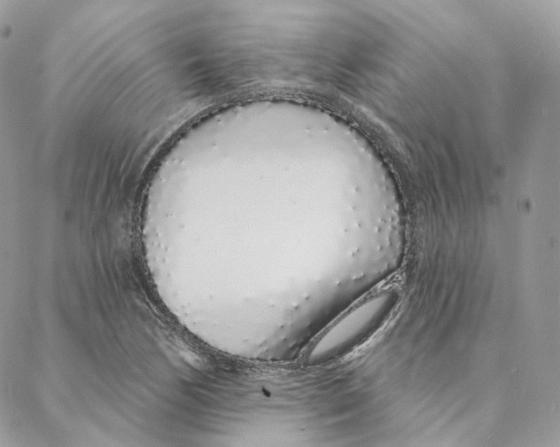 X0000088021170200706011317