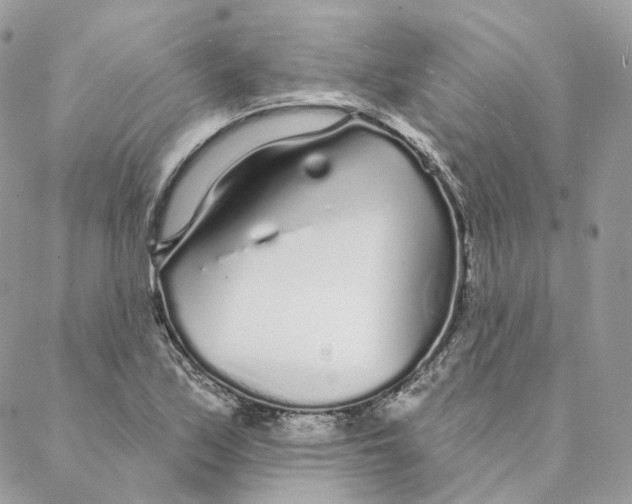 X0000088021171200706011317