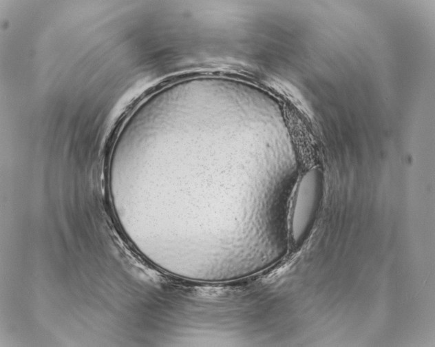 X0000088021172200706011317