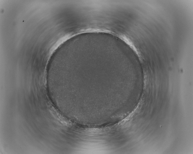 X0000088021173200706011317