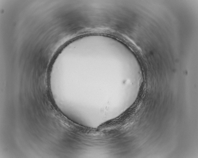 X0000088021174200706011317