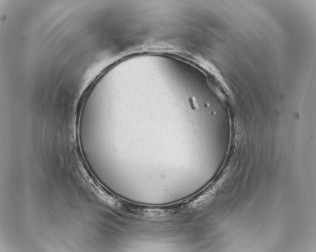 X0000088021176200706011317