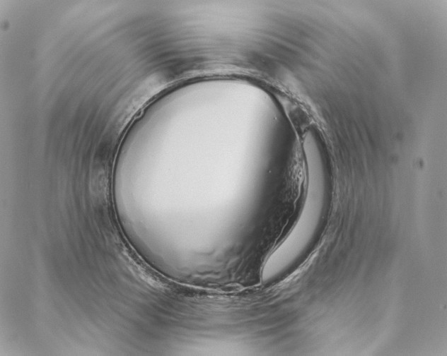 X0000088021177200706011317