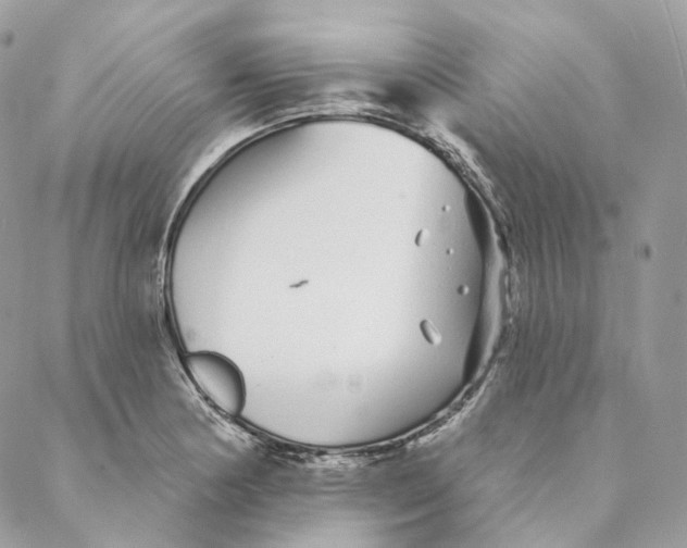 X0000088021178200706011317