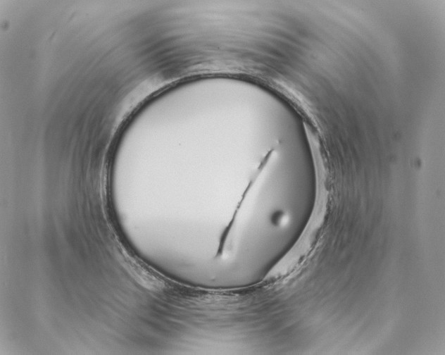 X0000088021179200706011317