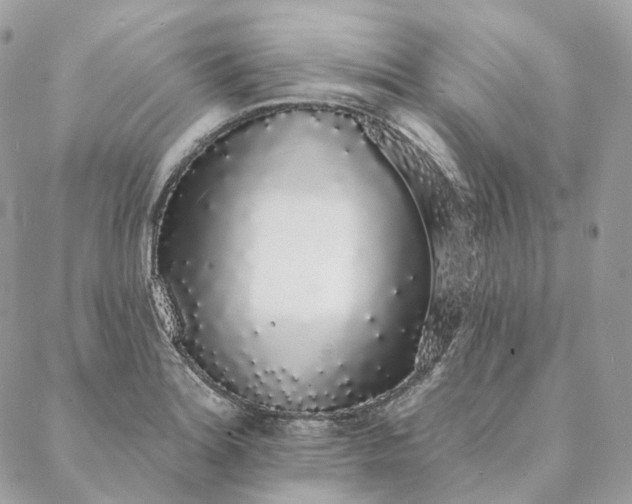 X0000088021180200706011317