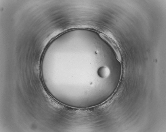 X0000088021181200706011317