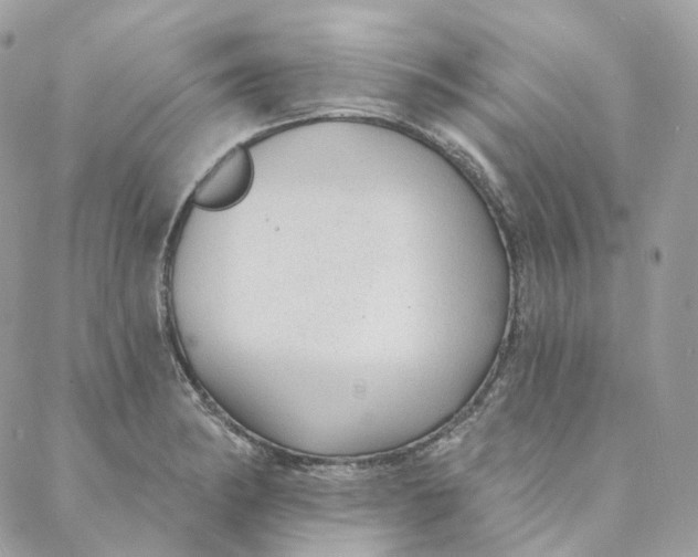 X0000088021182200706011317