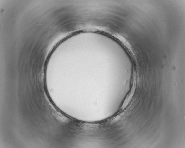 X0000088021183200706011317