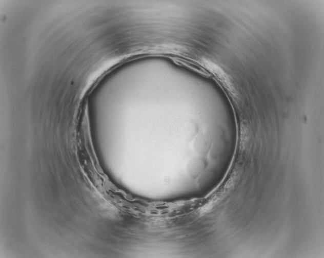 X0000088021184200706011317