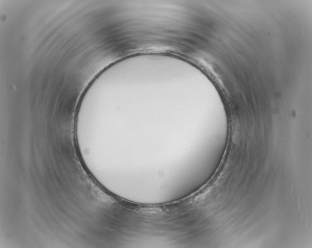 X0000088021186200706011316