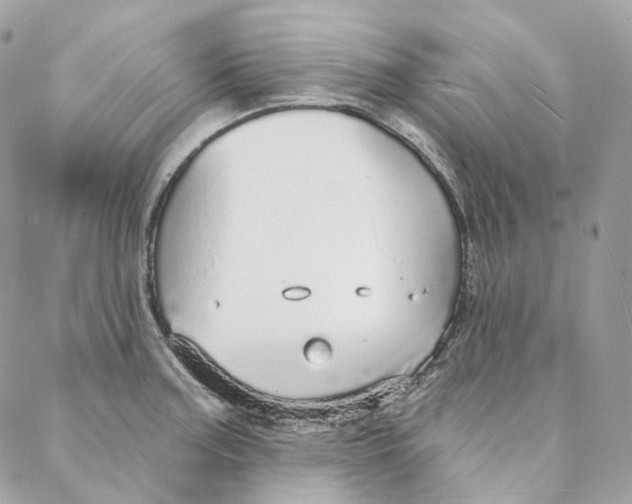 X0000088021187200706011316